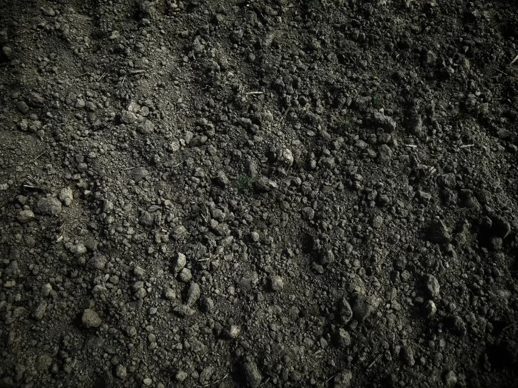 土壌調査の重要性と最新トレンド