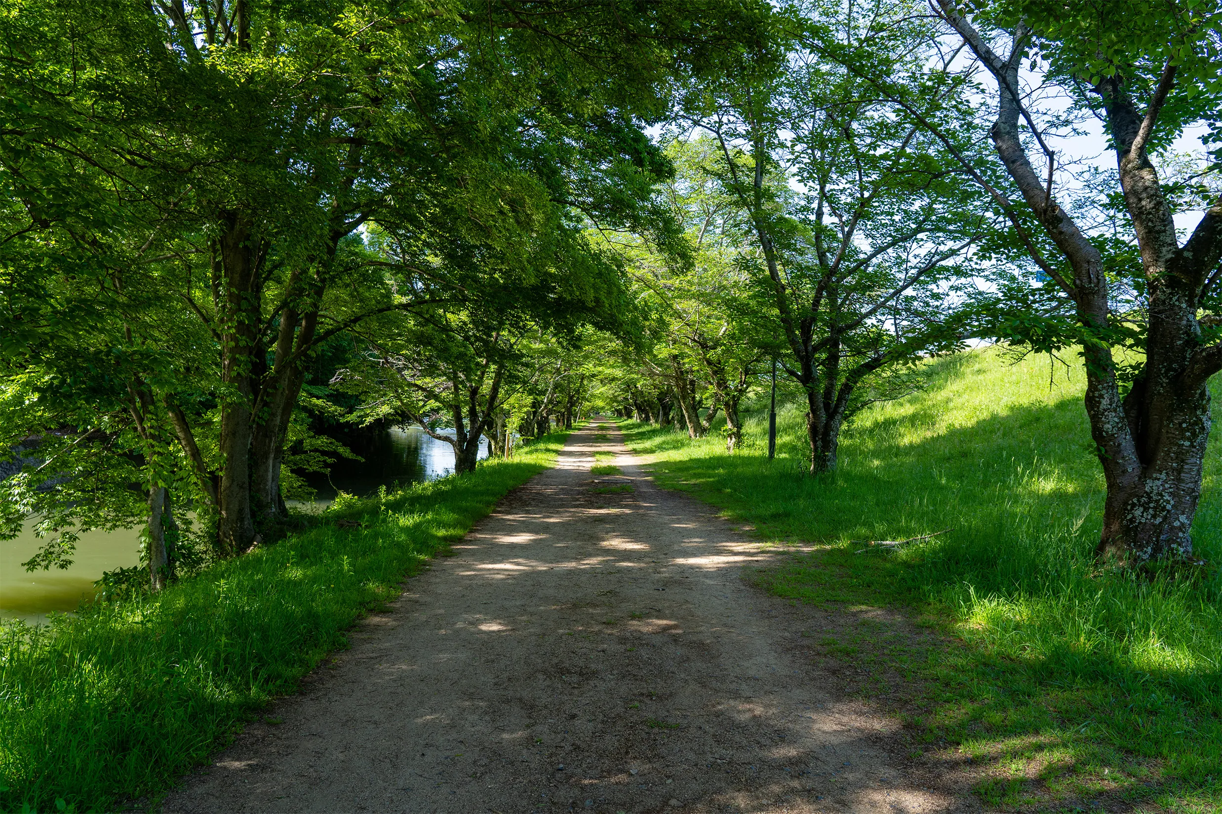 平和神社への道