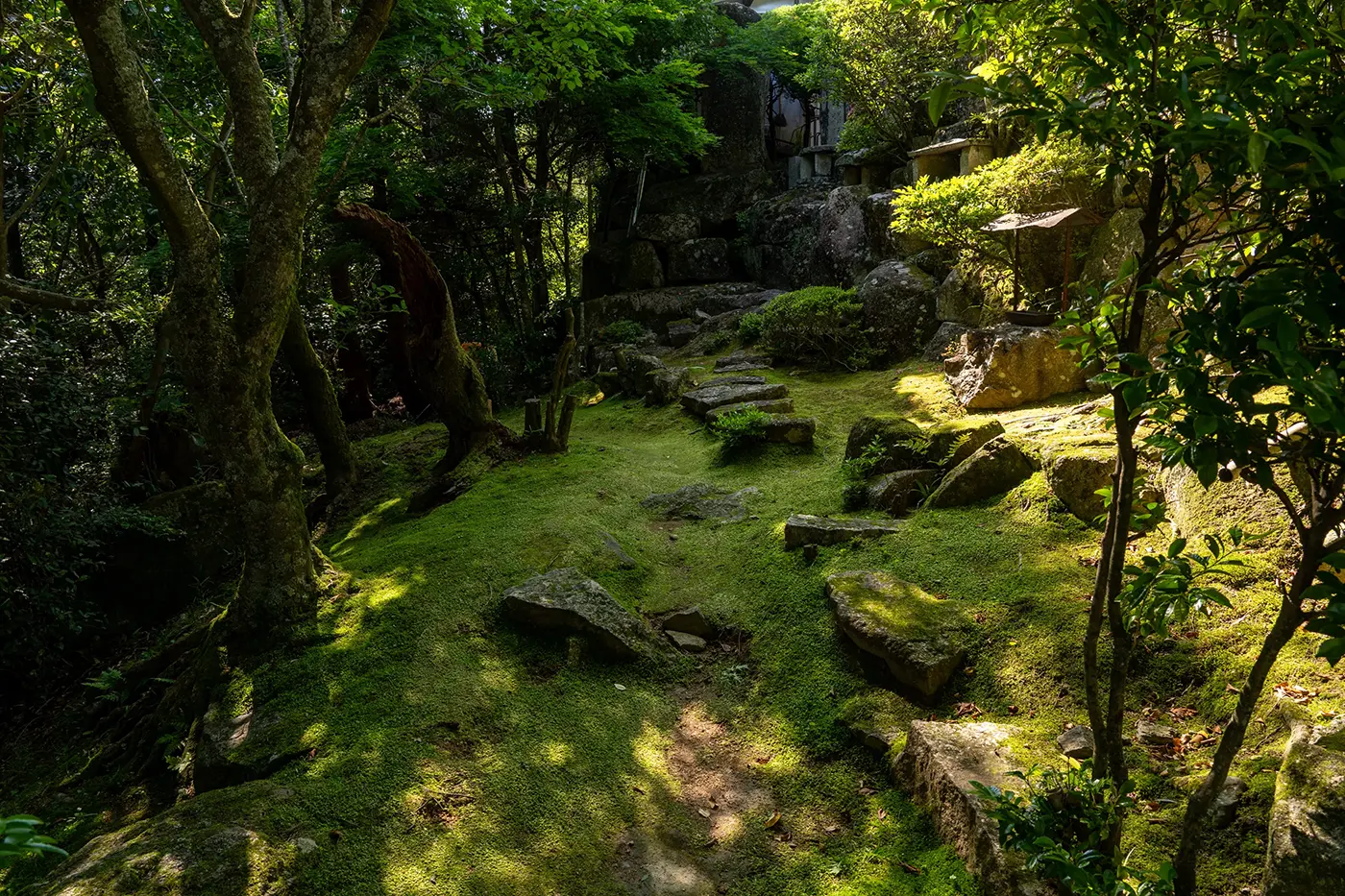 境内の見どころ