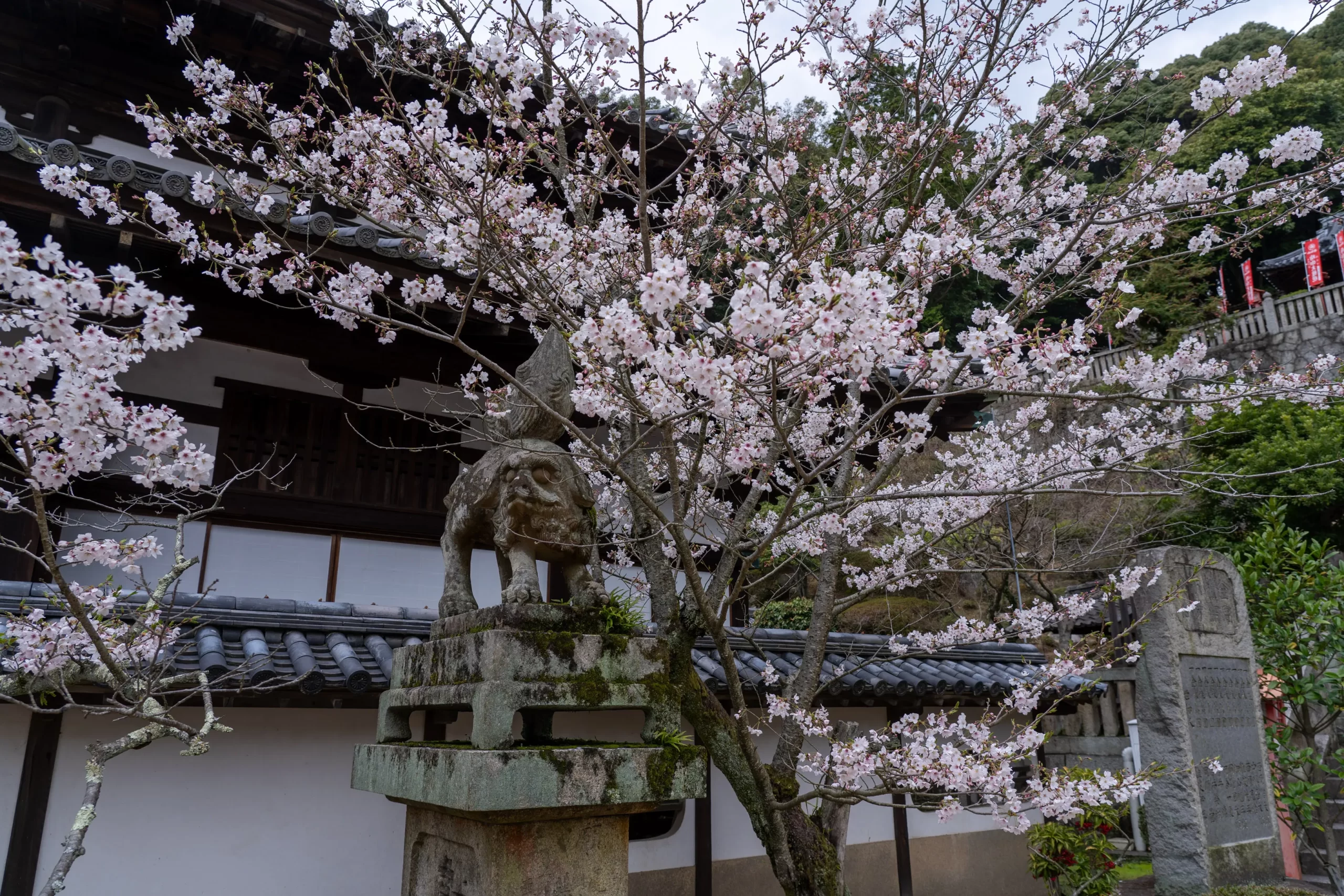 春季大祭について