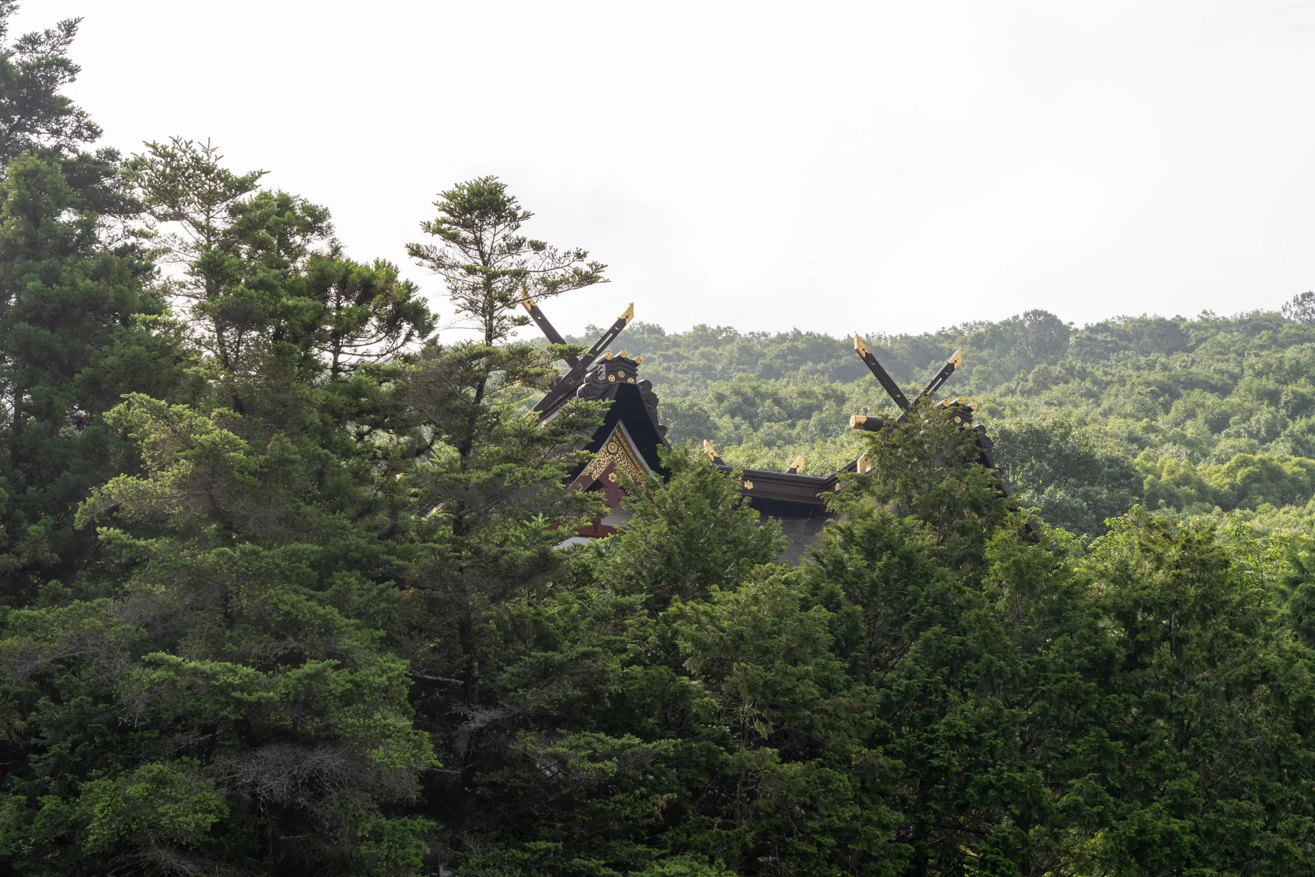 神社の屋根